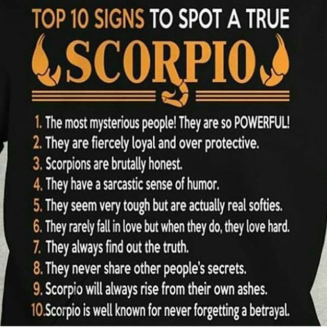 Top 10 Signs to Spot a True Scorpio Steemit